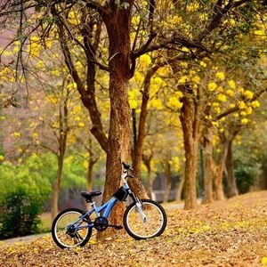 Meet your Posher, Alesya